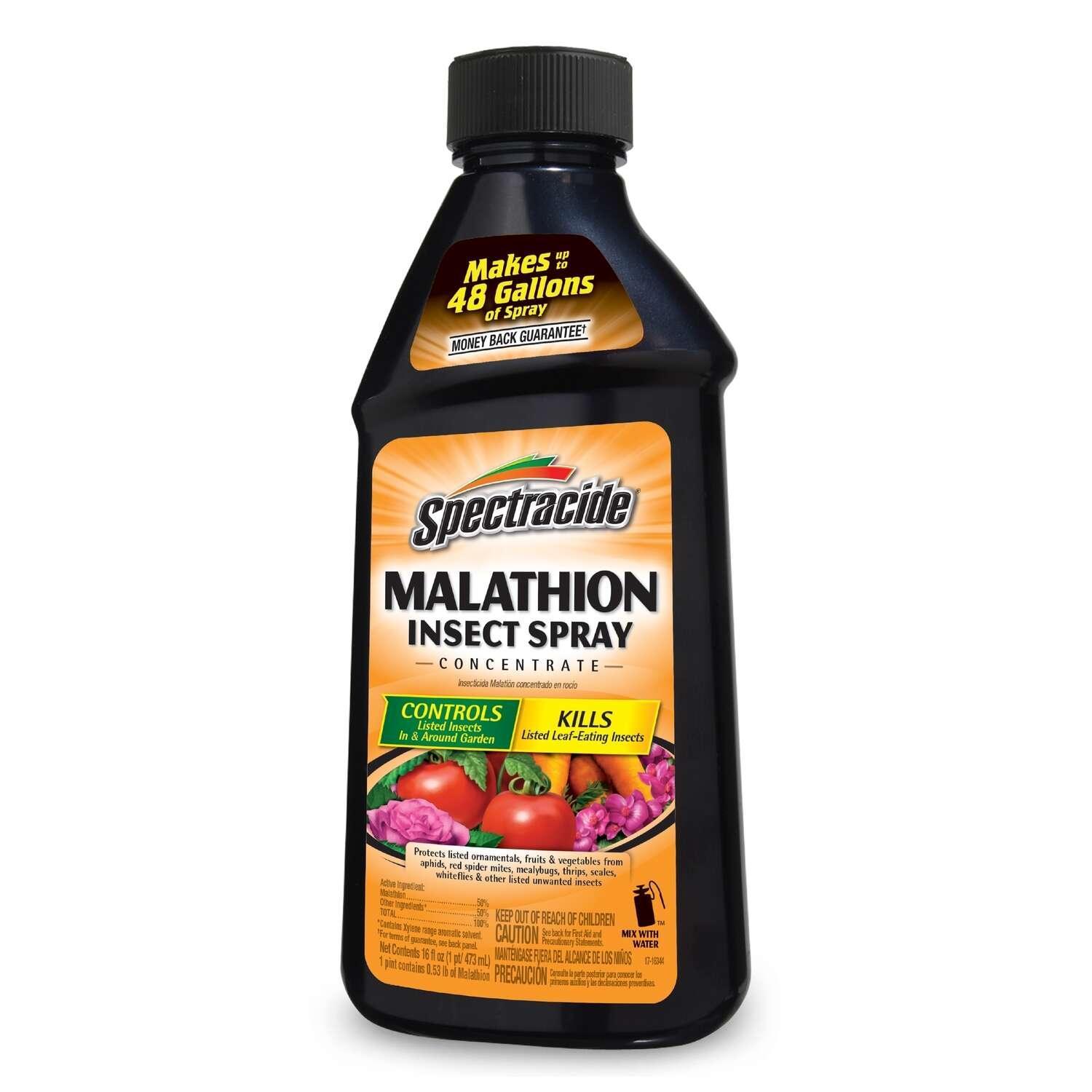 Spectracide Malathion Liquid Concentrate Insect Killer 16 oz