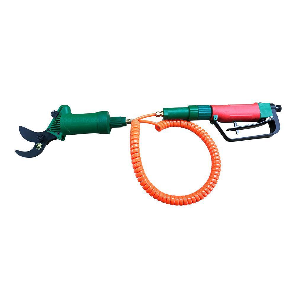 Air Pruner with 10 ft. Extendable Hose
