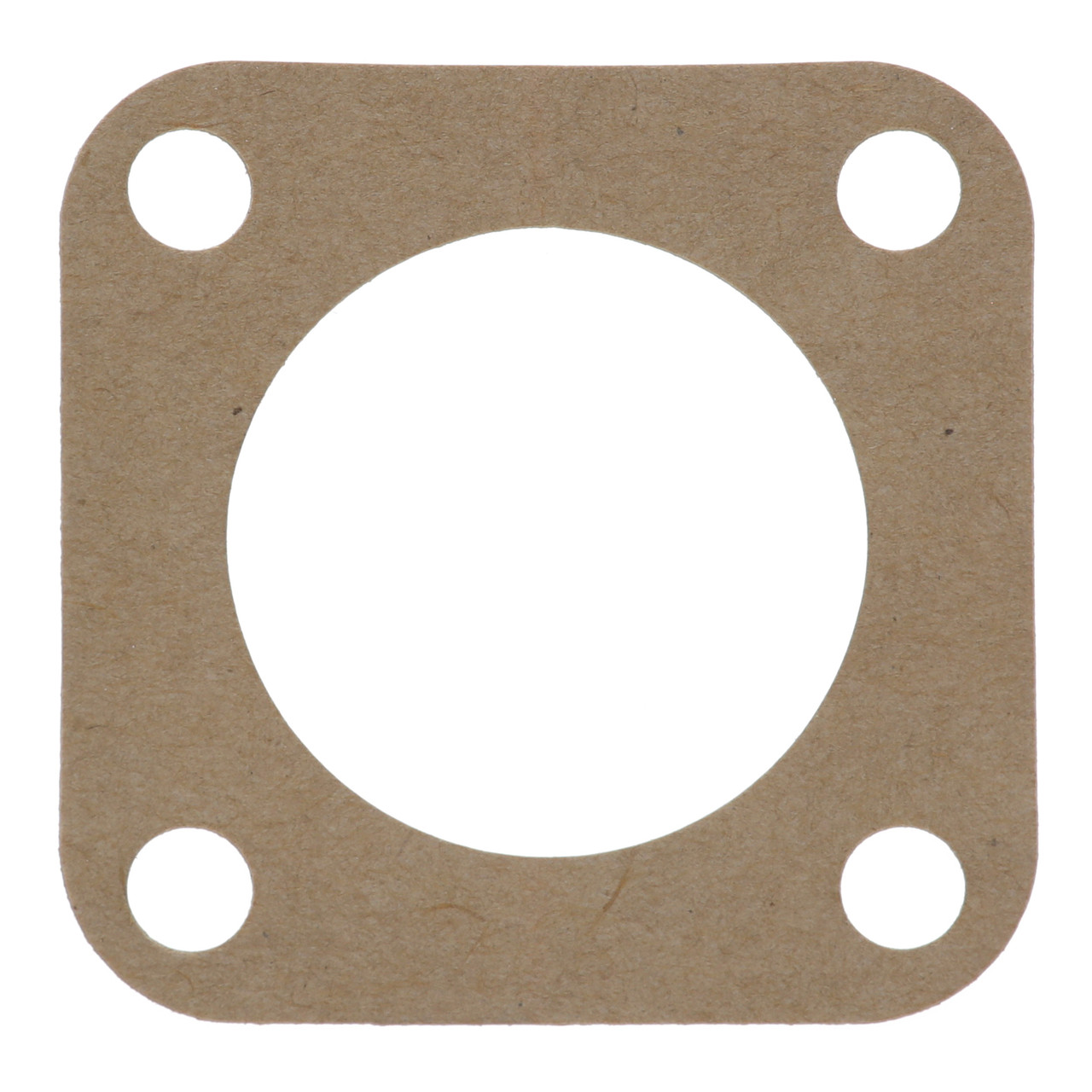 8003886 - Mavrik - Pump/Motor Gasket