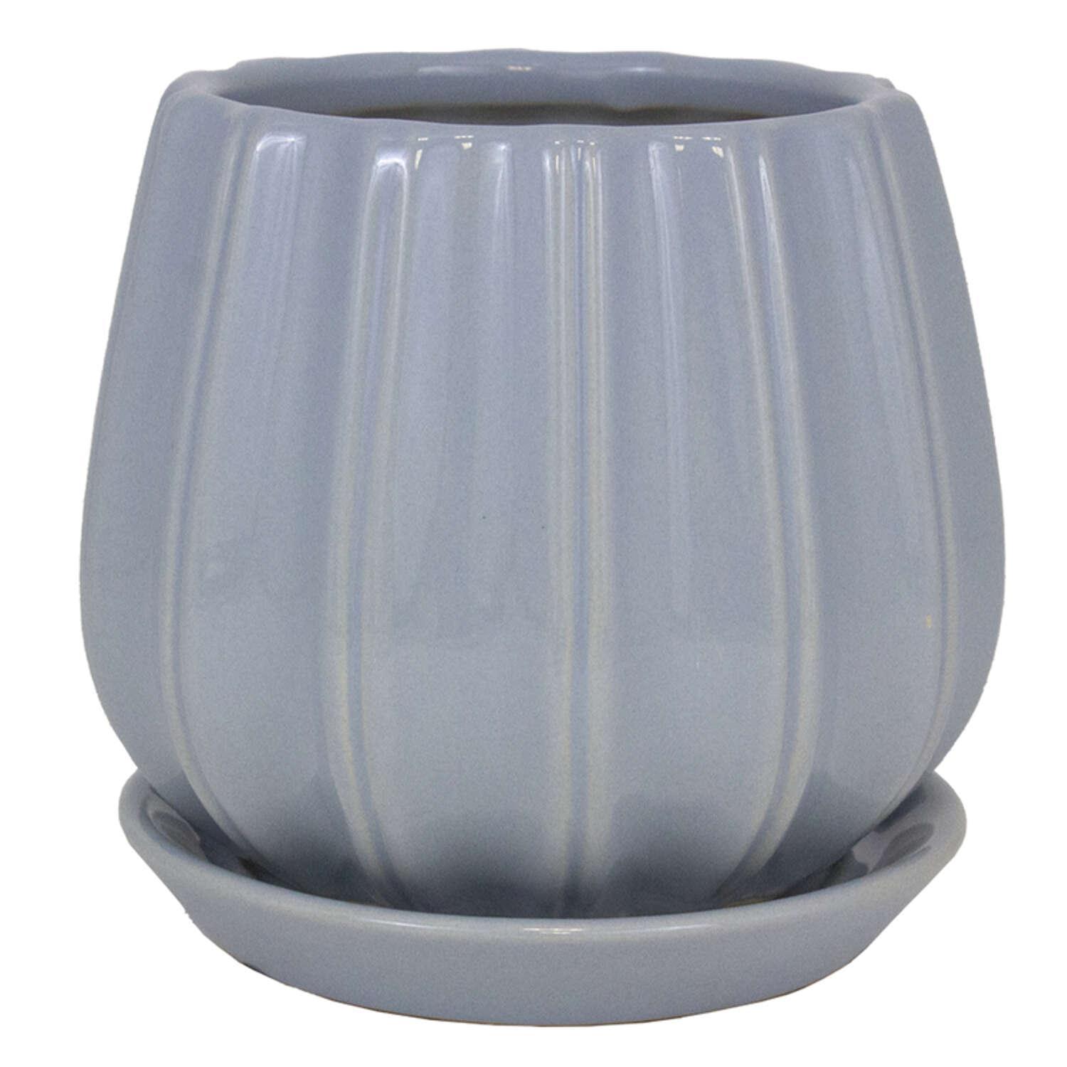Trendspot Contour 8 in. D Ceramic Planter Blue
