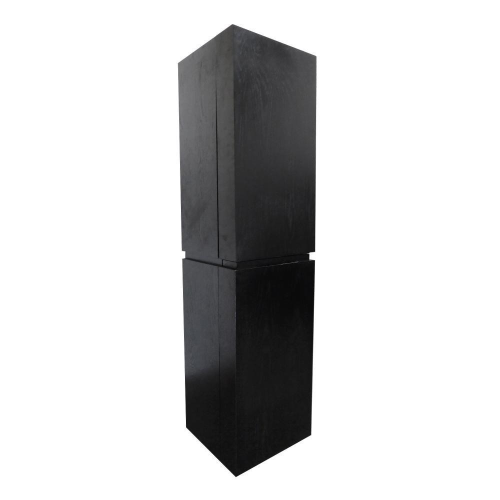 Mannheim 15.6 in. W x 15 in. D x 61.6 in. H Wall Mounted Linen Cabinet in Black