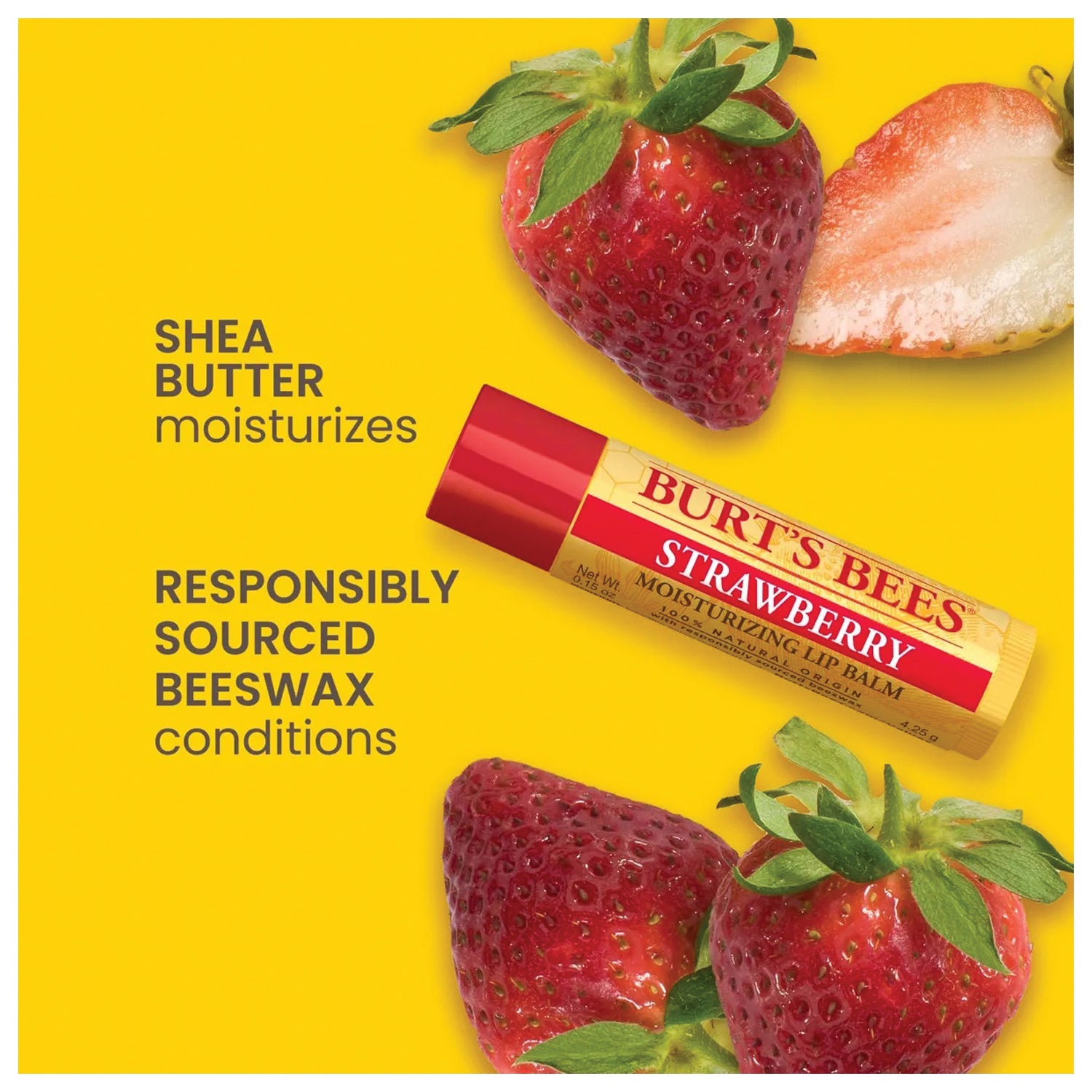 Burt's Bees Best of Burt Bliss 4-Pack Gift Set