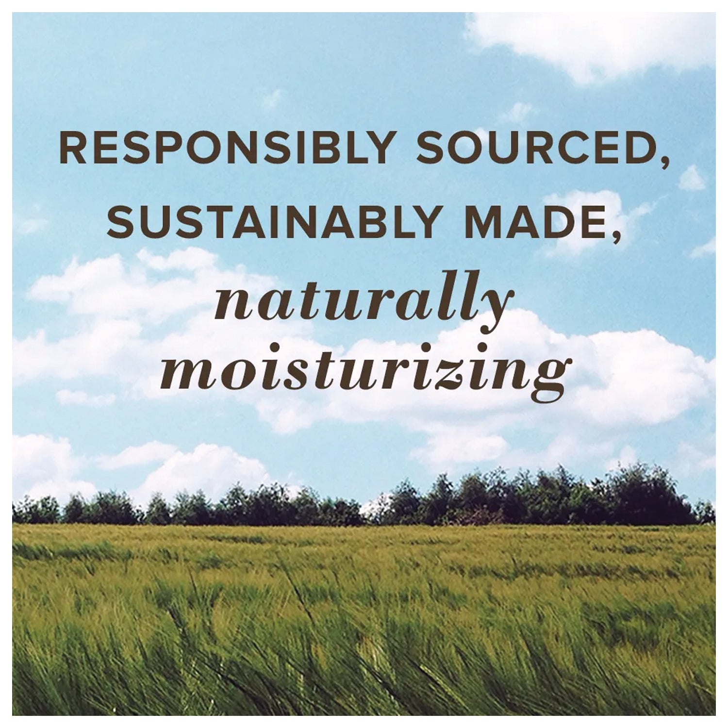 Burt's Bees Lip Balm Super Fruit Blast 4-Pack - Nourishing Lip Care Set