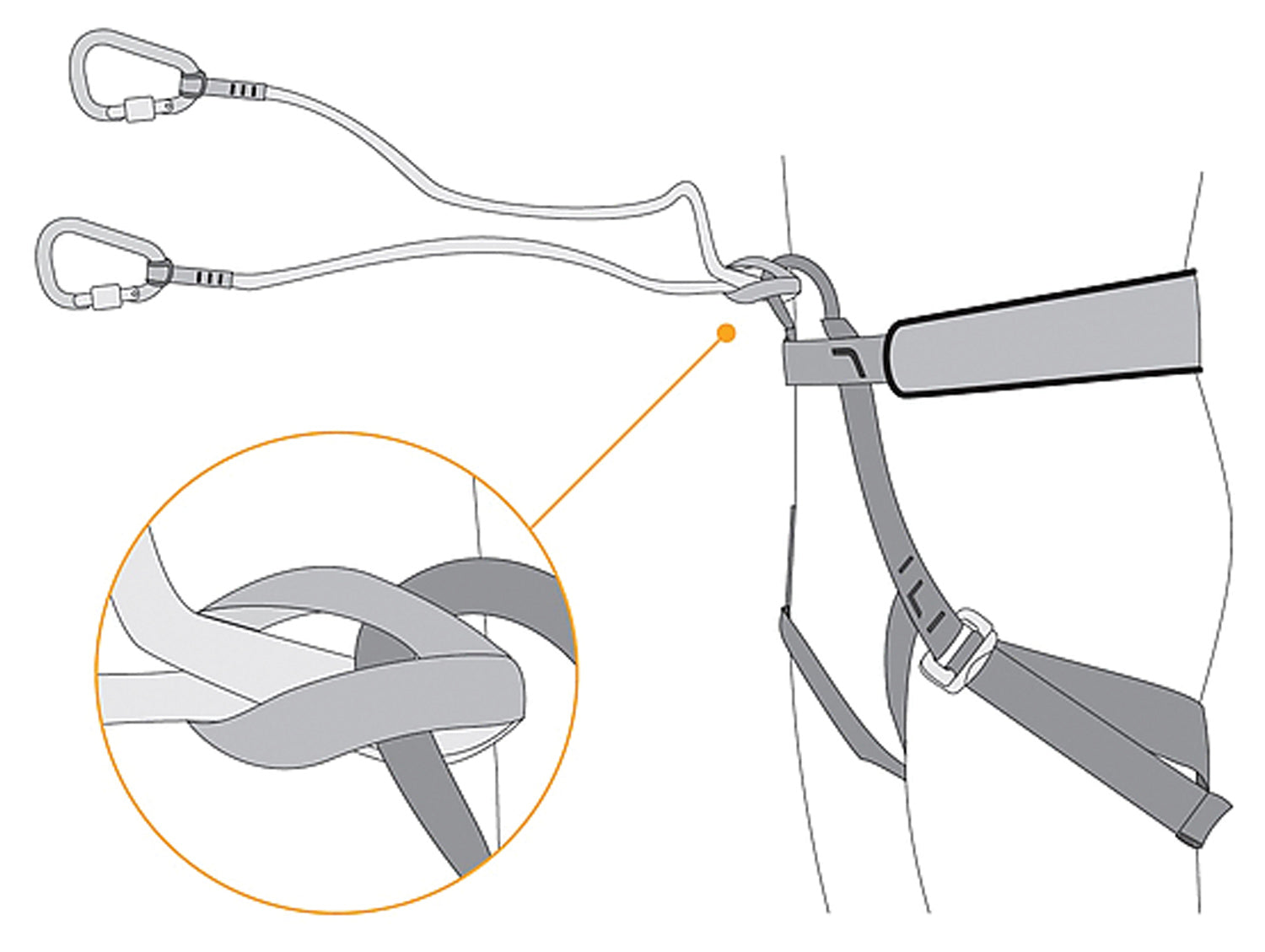 Singing Rock Bungee Leash 360: Ultimate Freedom and Safety for Your Adventure Buddy