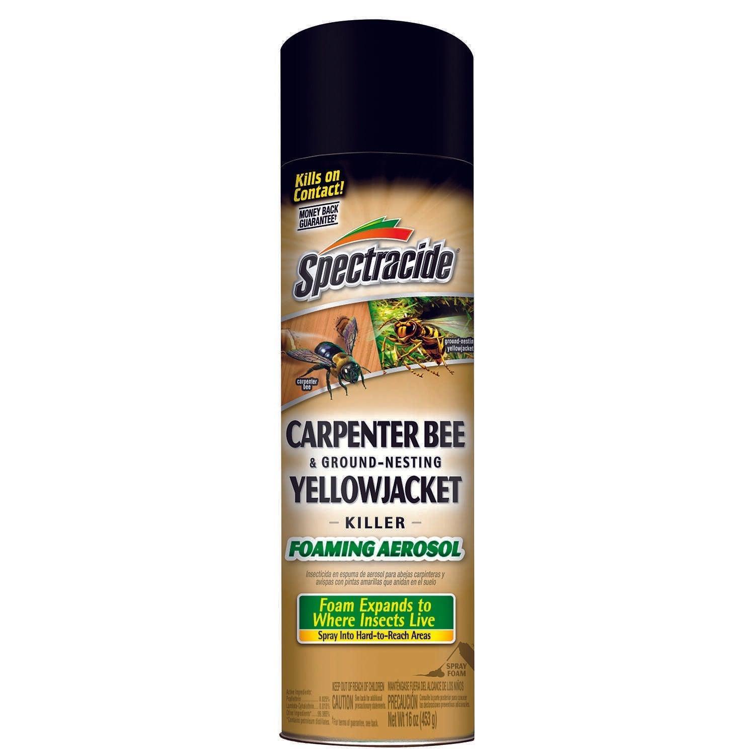 Spectracide Foam Insect Killer 16 oz