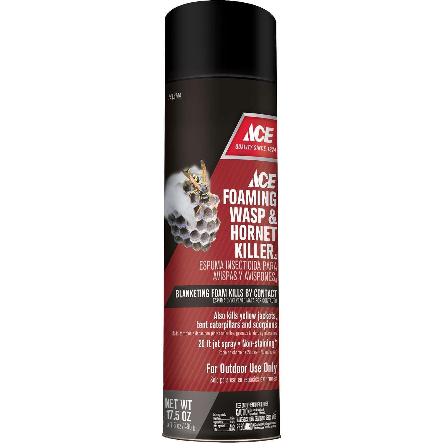 Ace Aerosol Wasp and Hornet Killer 17.5 oz