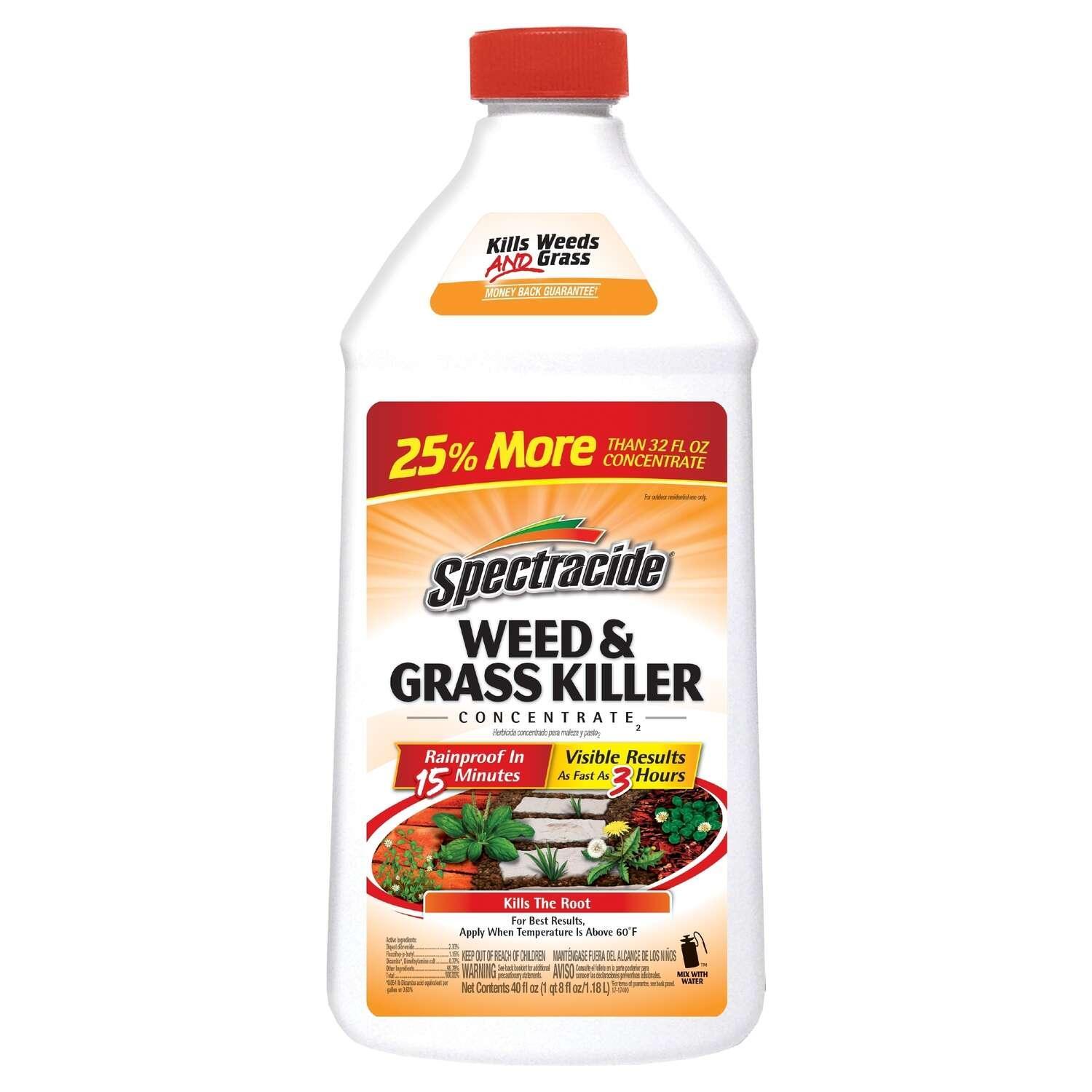 Spectracide Grass & Weed Killer Concentrate 40 oz