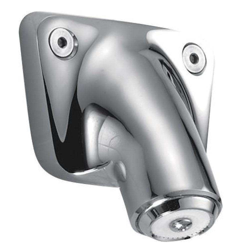 Vandal Resistant 1-Spray 2 in. Single Wall Mount Fixed Shower Head in Chrome