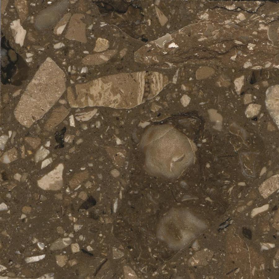 Transolid 25-in Cacao Nougat Natural Marble Single Sink Bathroom Vanity Top