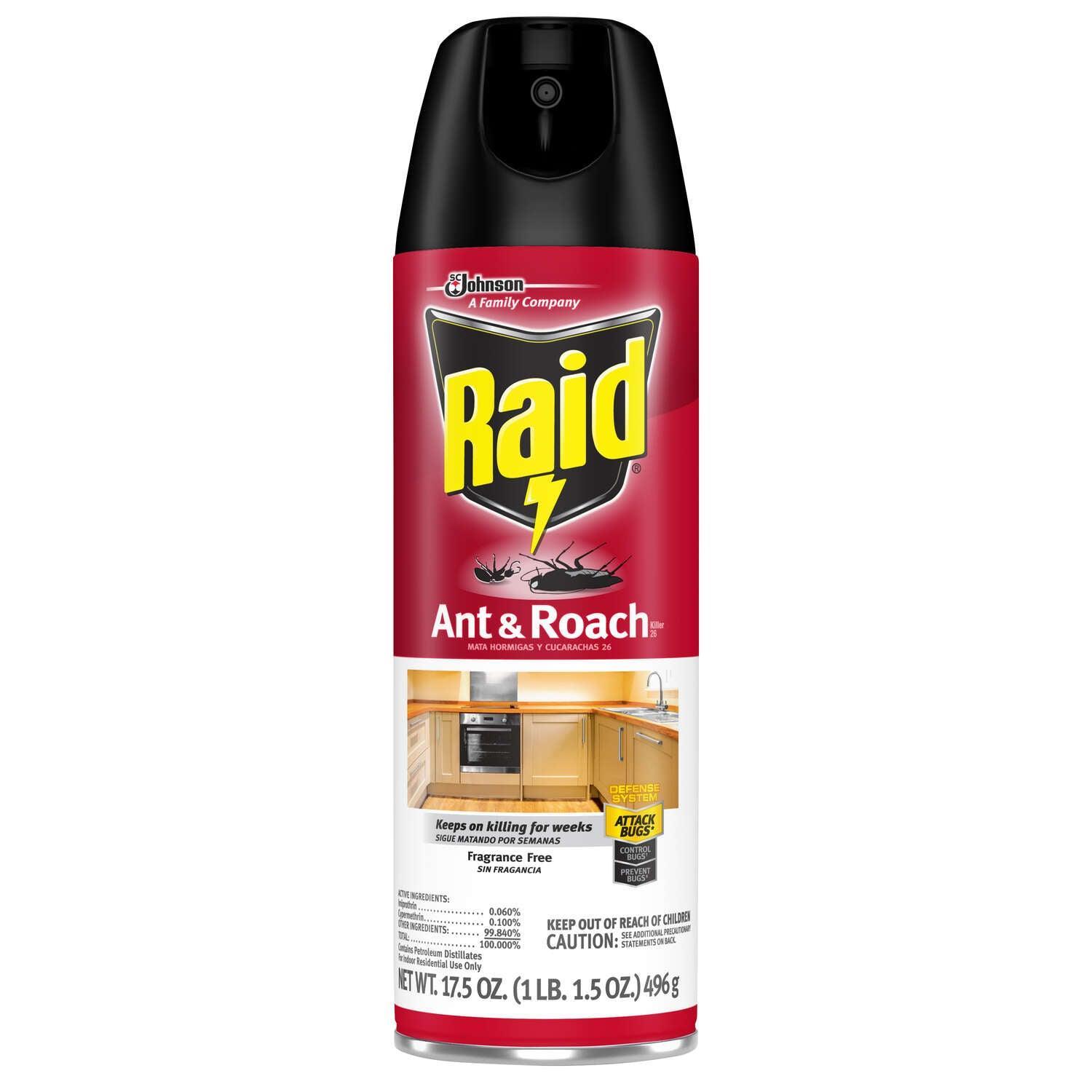 Raid Aerosol Ant and Roach Killer 17.5 oz