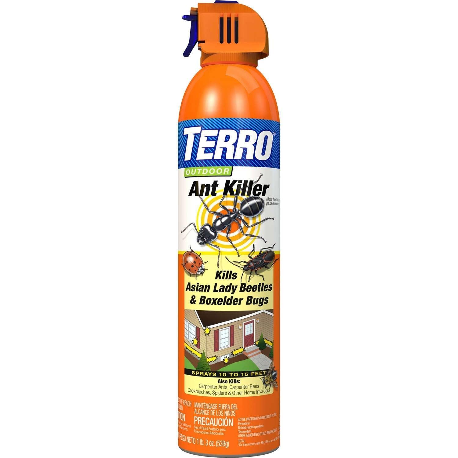 TERRO Liquid Ant Killer 19 oz