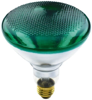 Flood Light Bulb, Green, 100-watts