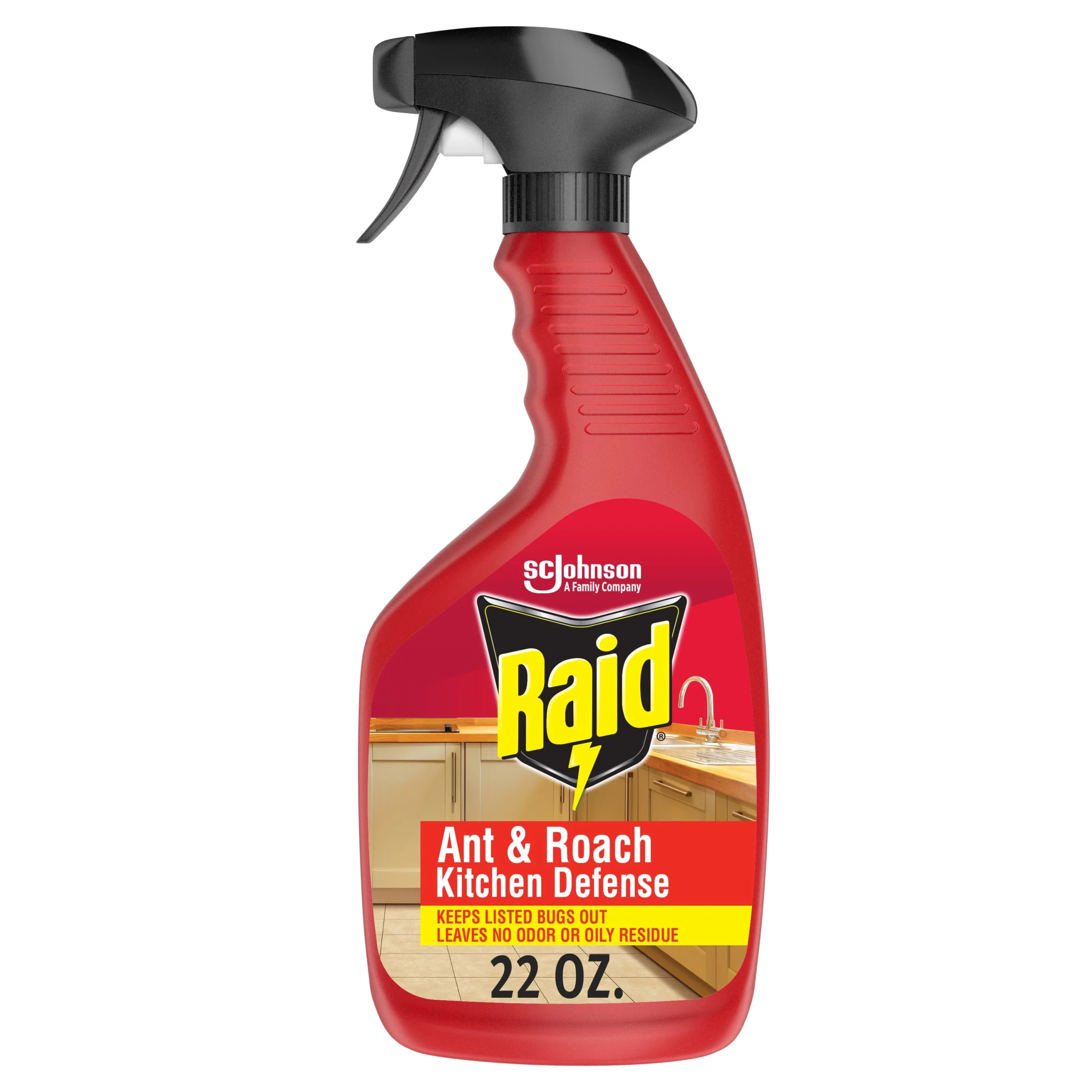 Ant And Roach Barrier Insecticide Spray, 22 Ounce Can For Indoor And Outdoor Use