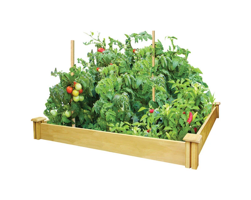 Raised Garden Kit 4 Feet By 4 Feet With Durable Construction And Easy Assembly