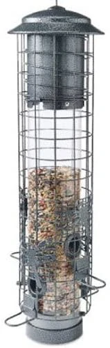 Squirrel-resistant Tube Bird Feeder With Dragonfly Design, Holds 2.5 Pounds Of Seed
