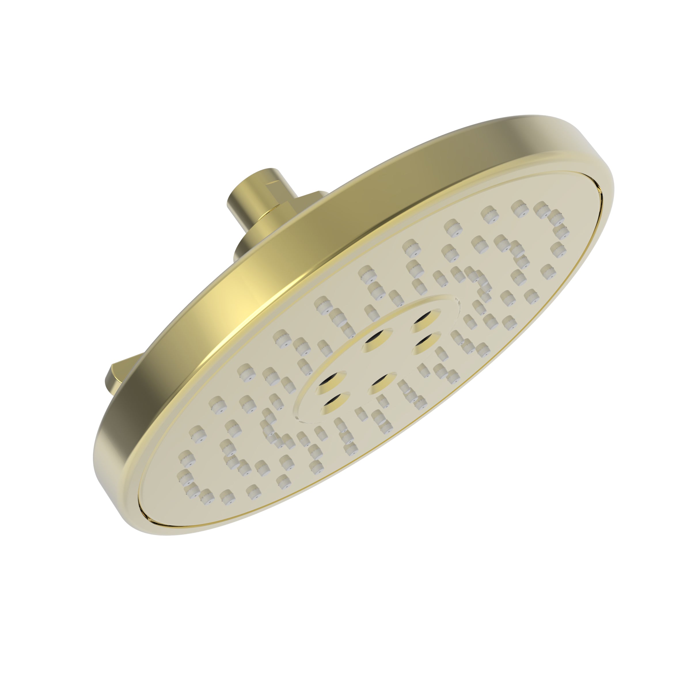 Newport Brass 2158 Multifunction Showerhead