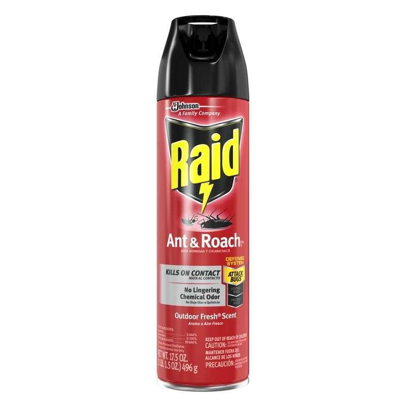 Raid Aerosol Insect Killer 17.5 oz