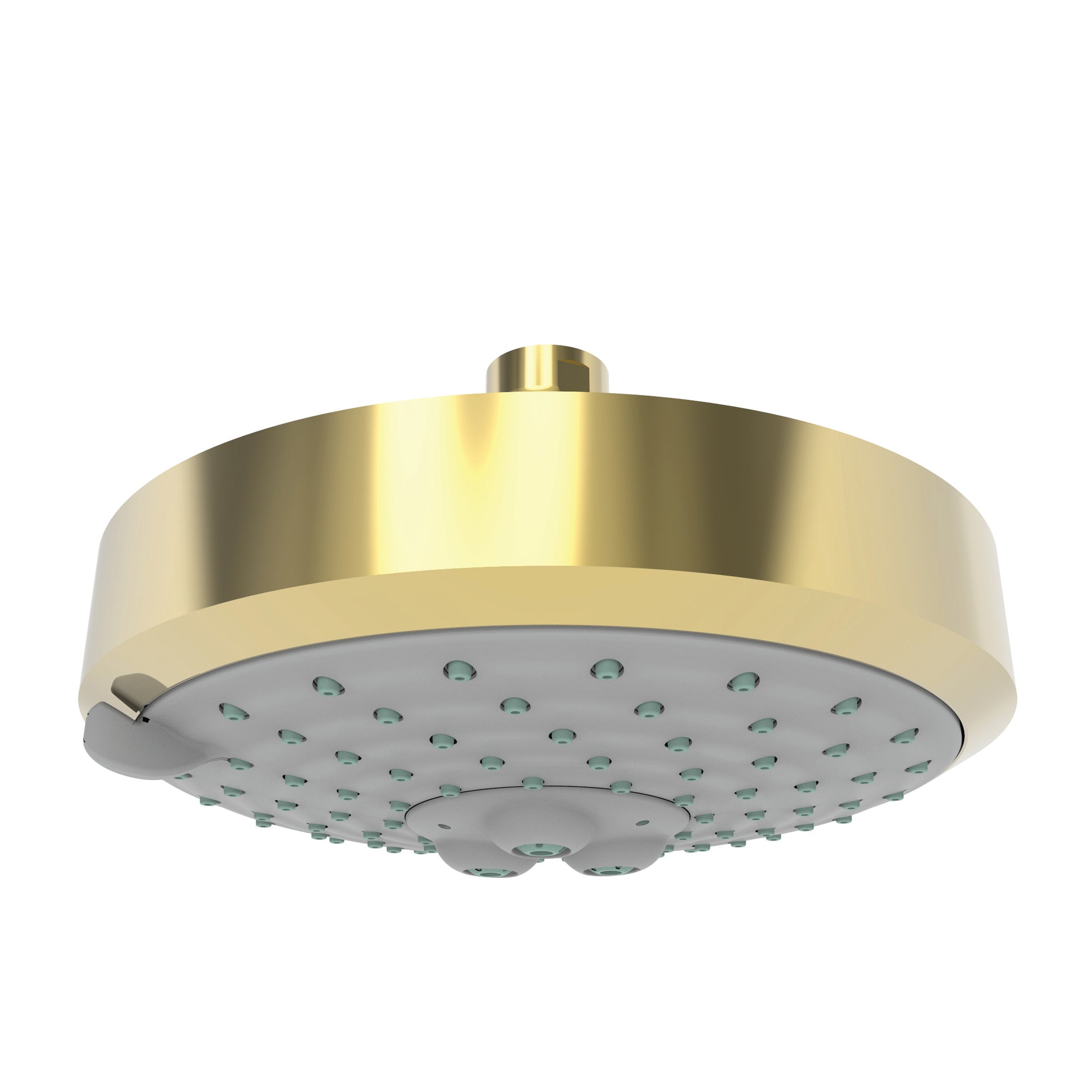 Newport Brass 2143 Multifunction Showerhead