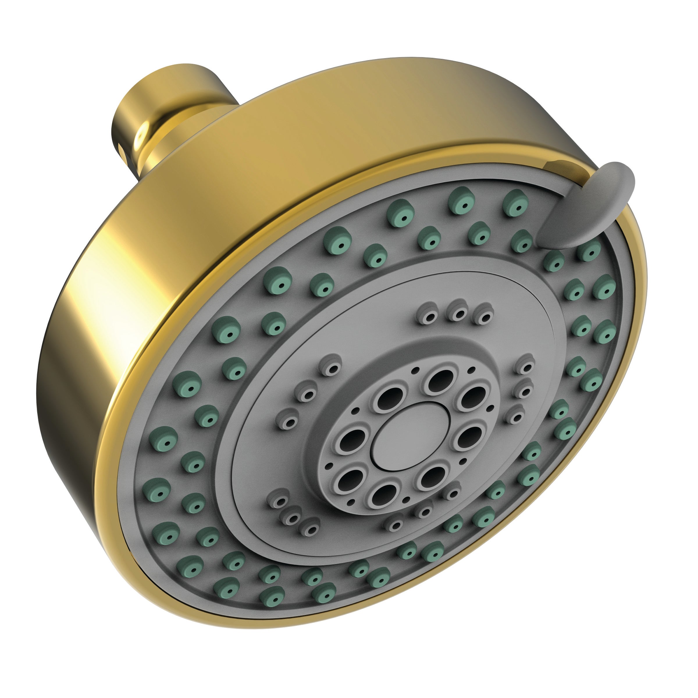 Newport Brass 2155 Multifunction Showerhead