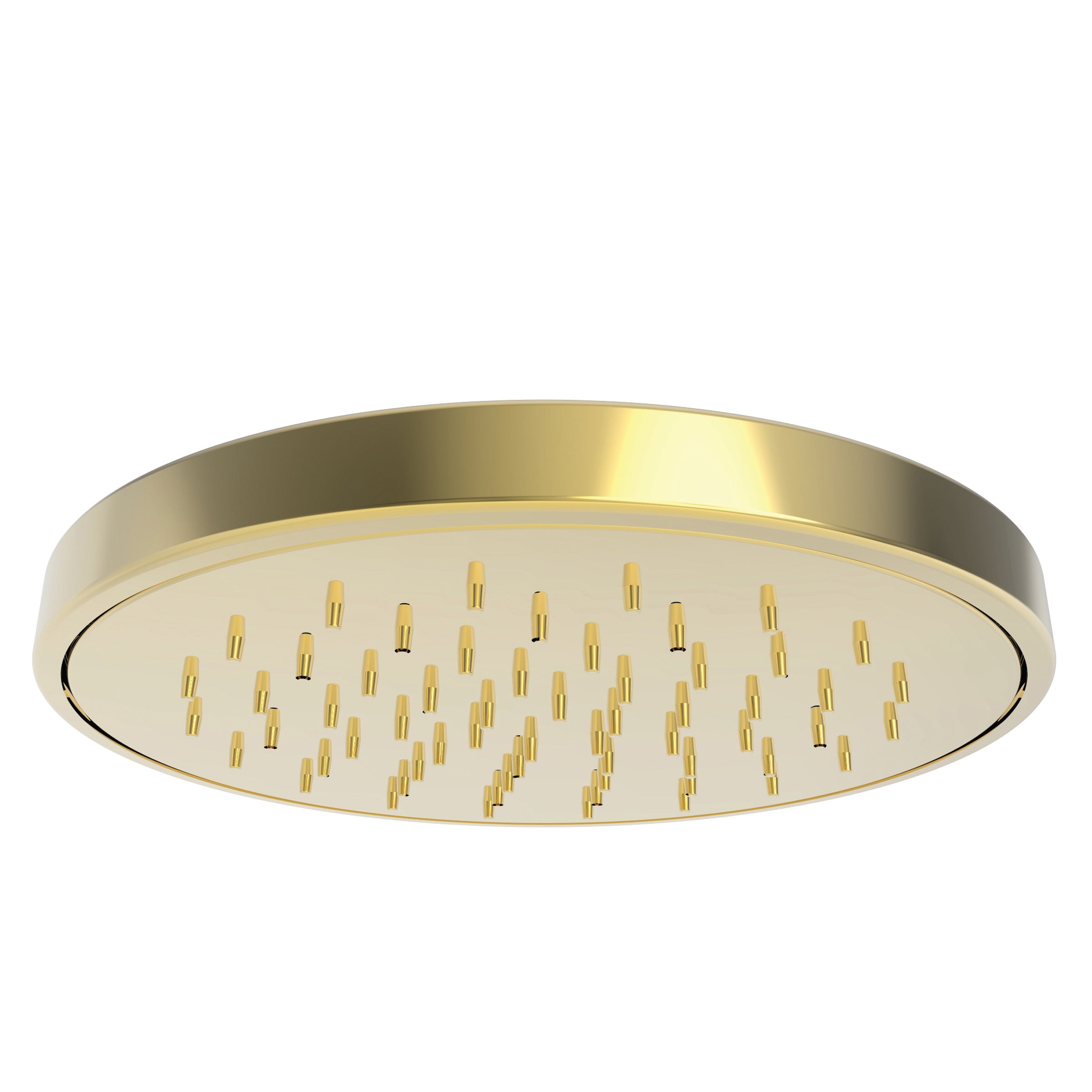 Newport Brass 2153 Rainfall Shower Head